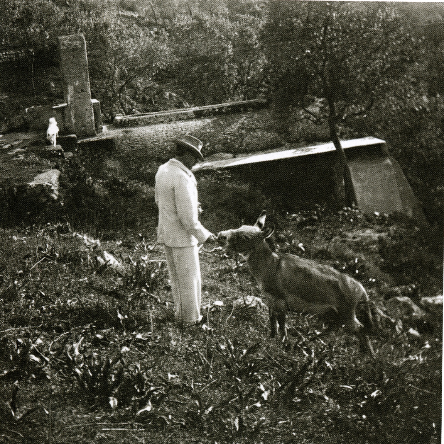 Munthe with the donkey Rosina